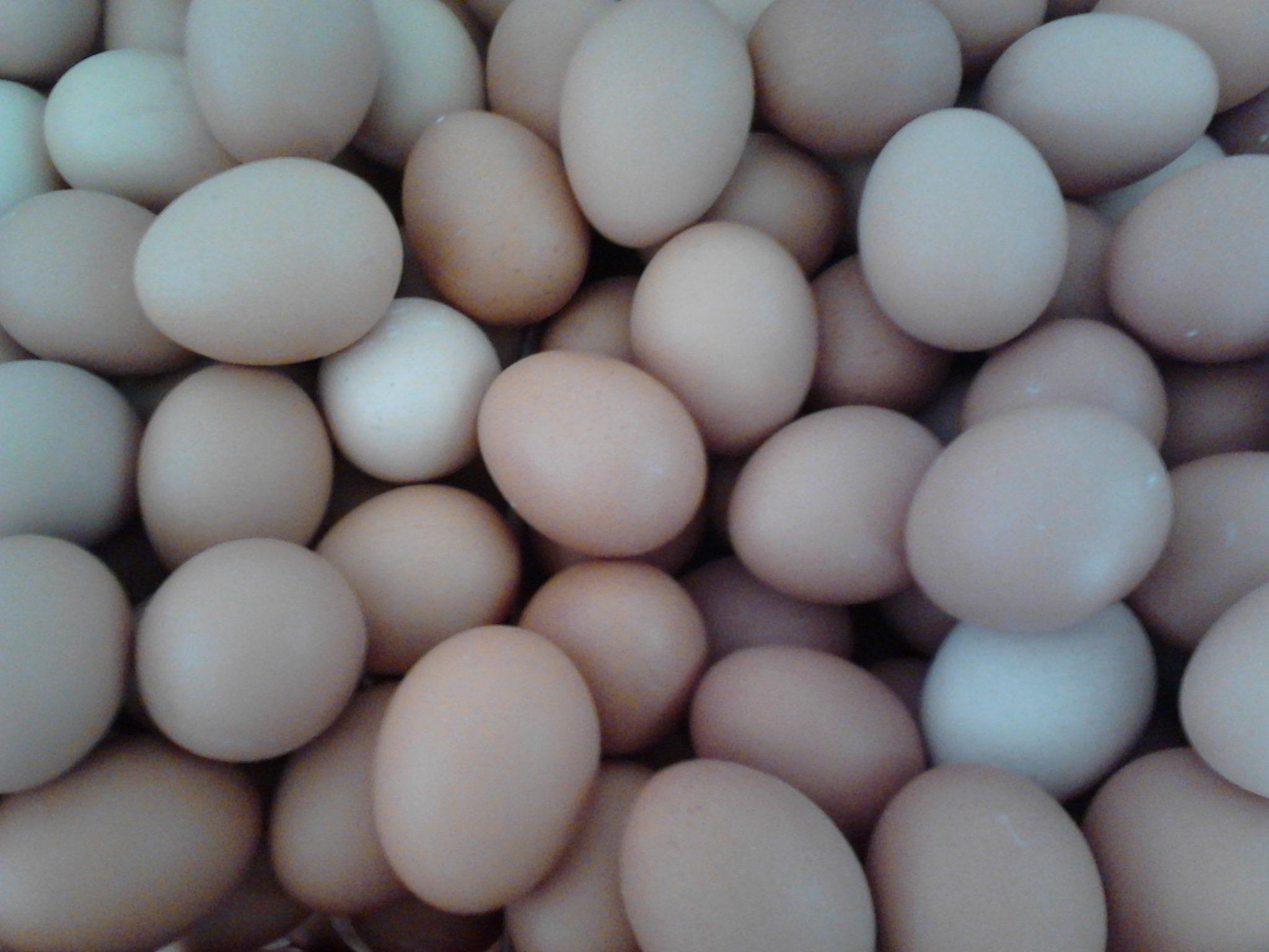 平博·(pinnacle)官方网站