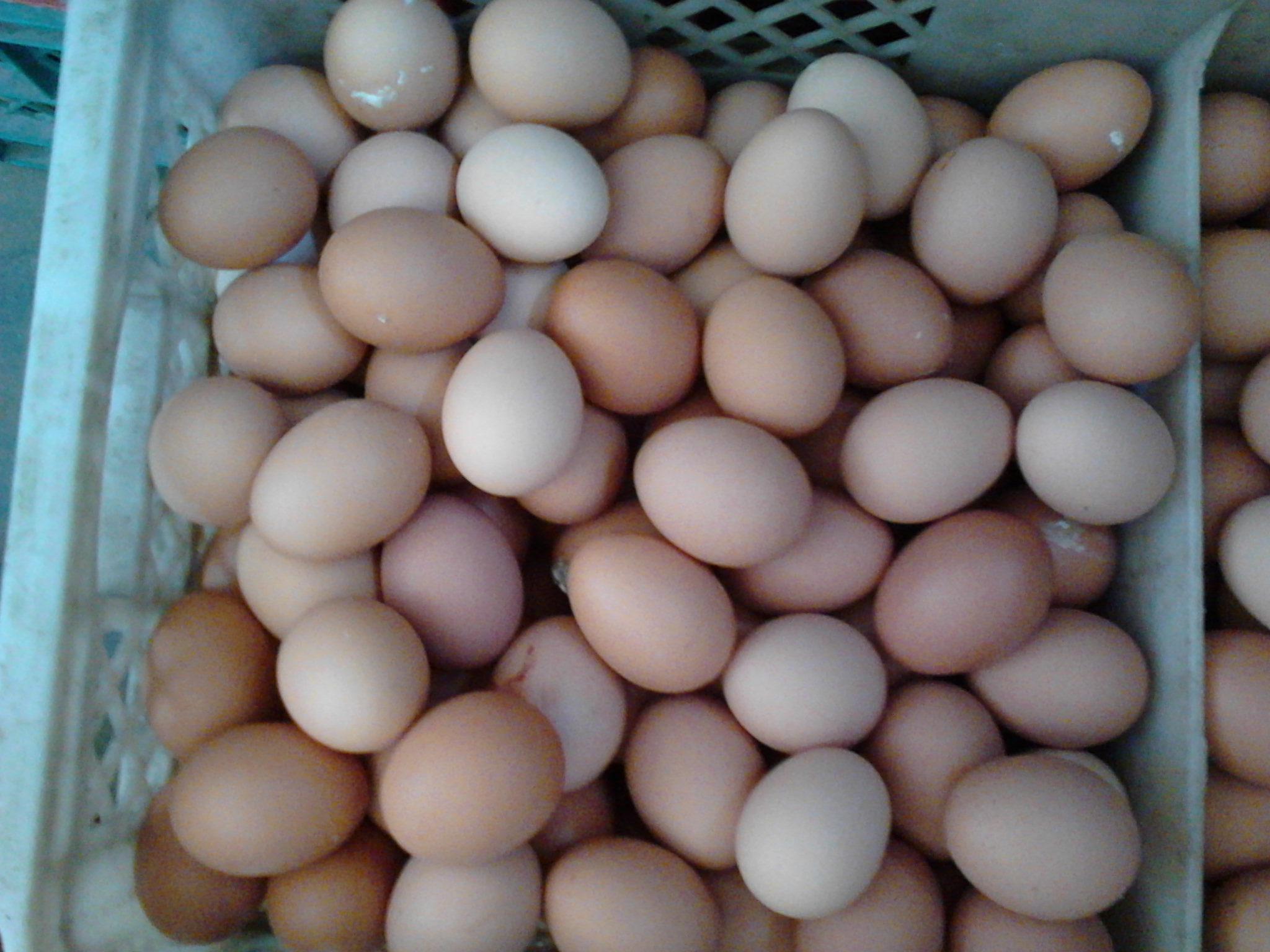 平博·(pinnacle)官方网站