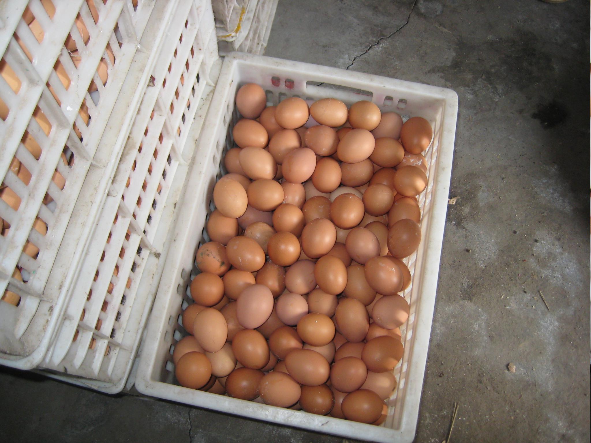 平博·(pinnacle)官方网站