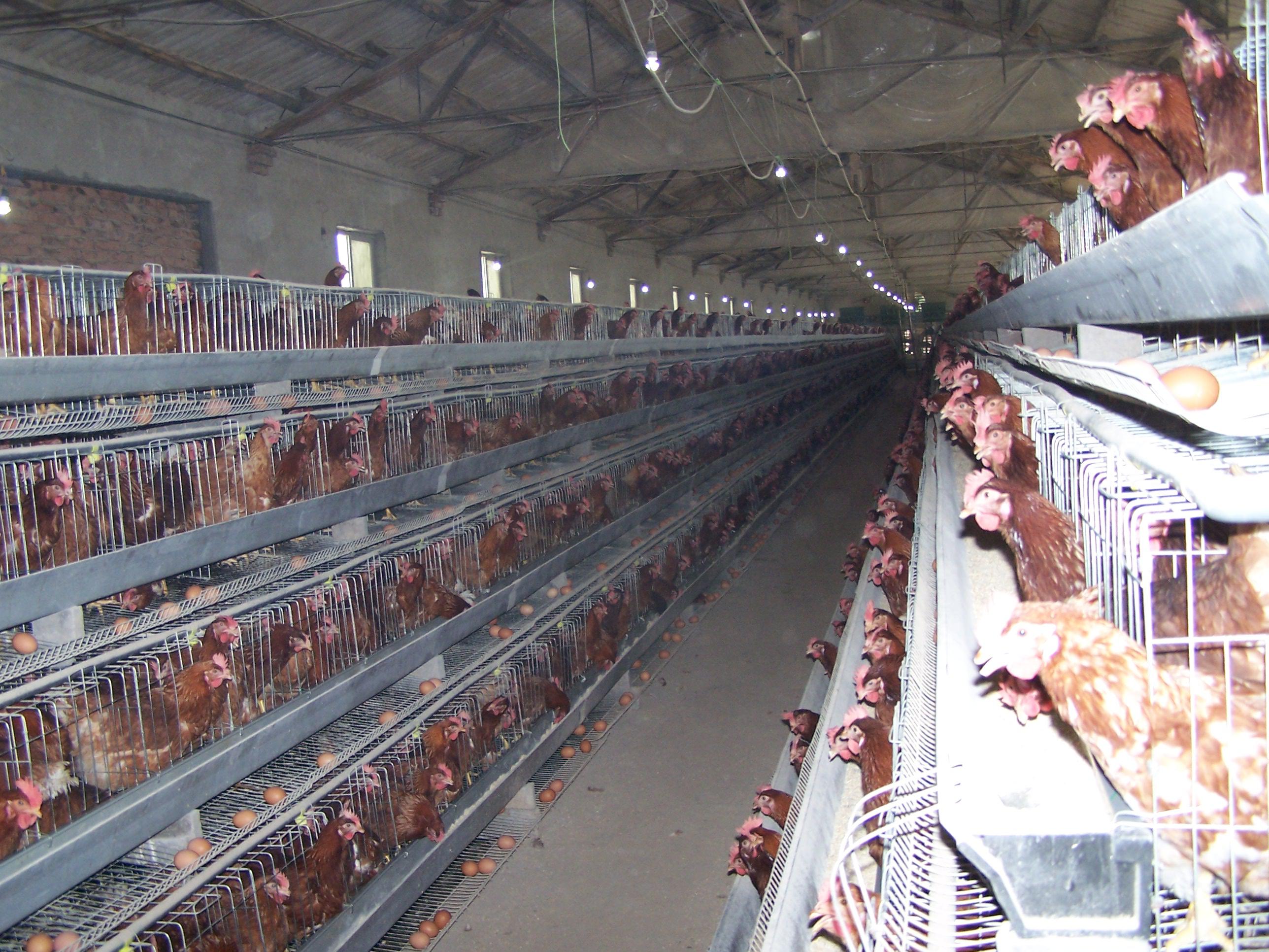 平博·(pinnacle)官方网站