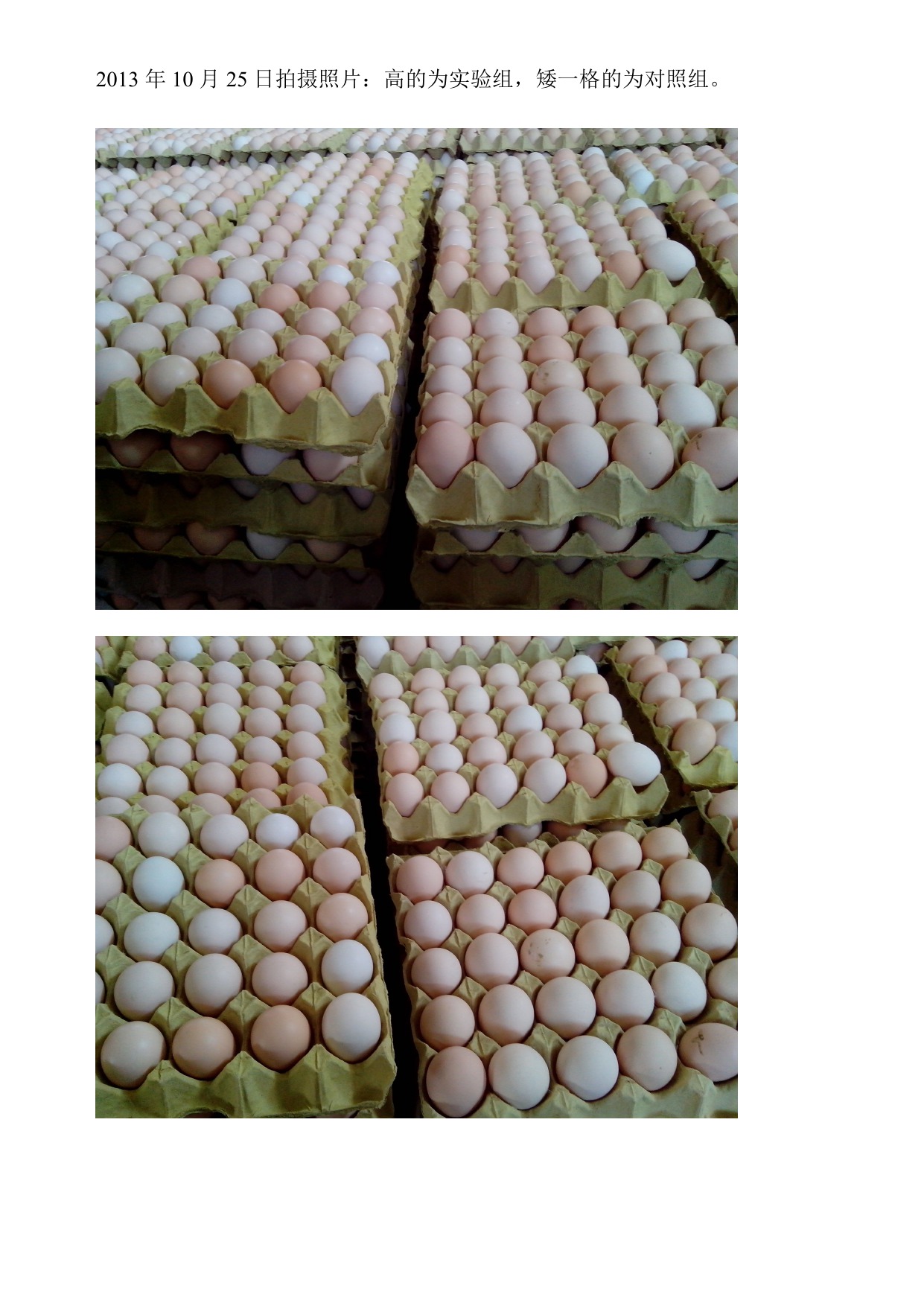 平博·(pinnacle)官方网站