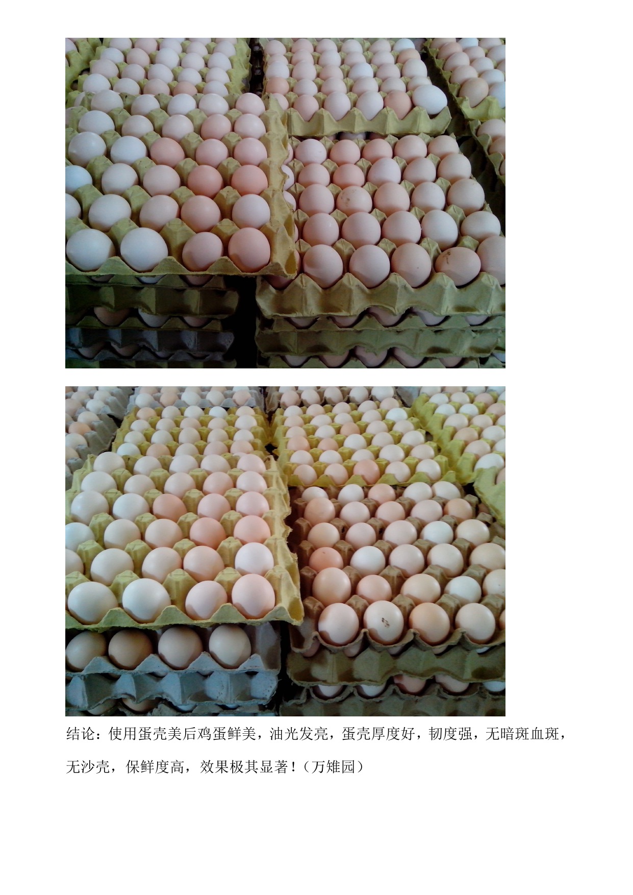 平博·(pinnacle)官方网站