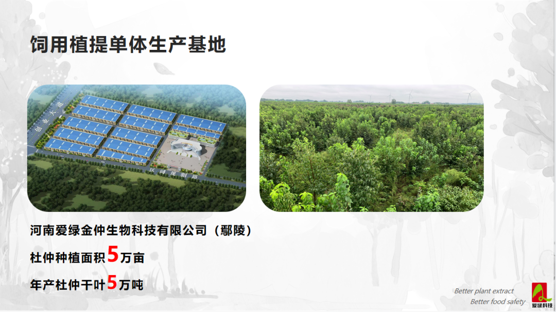 平博·(pinnacle)官方网站